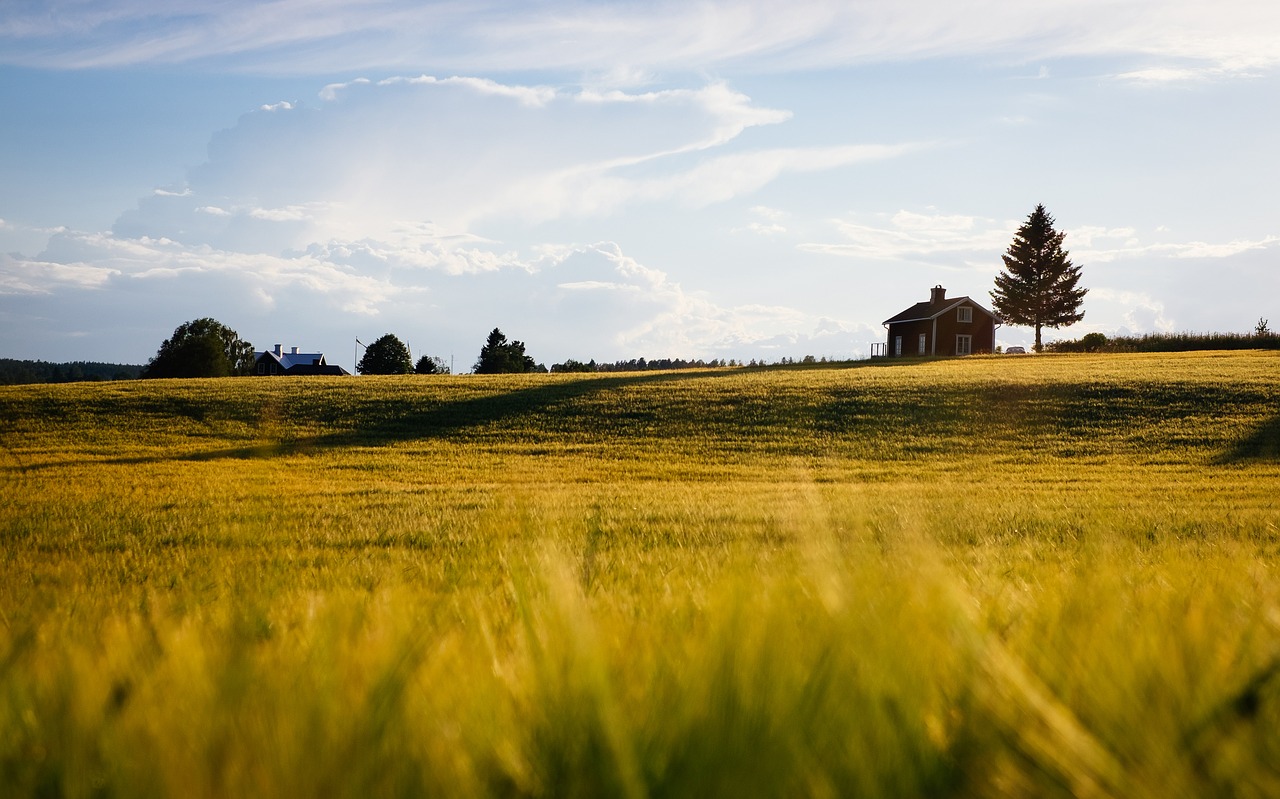 a wooden house surrounded by a meadow