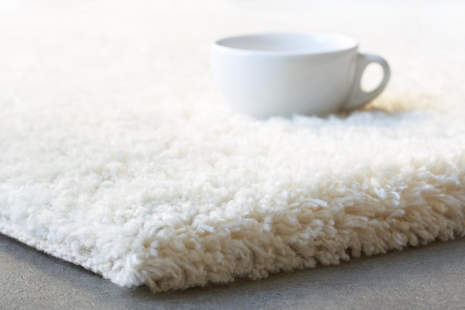 carpet cleaners